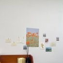 독해력 지도사 2급 이미지