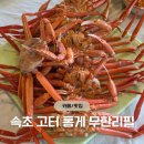 속초고속버스터미널 | 내돈내산 속초 홍게 무한리필 맛집 - 속초 고속버스터미널 맛집 '광성홍게장군'