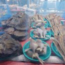 대정떡집 - 강서구 양천로57길 36 | 대정떡집