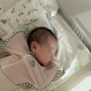 내돈내산 임부복 임산부 속옷 브라 추천 제품