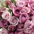 Dear Johny Daum카페
