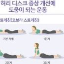 허리디스크 증상 원인 치료 이미지