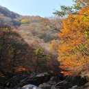 지리산 단풍비 이미지