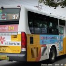 주정차37 이미지