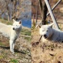 인계 이미지