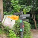 홍록배드민턴장 화장실 | [북한산자락길/전망대 후기] 데크길로 이어진 꿀맛 등산로 230813