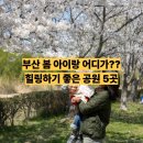 (주)에스에이엠 삼락 공원점 | 부산 봄 피크닉 아이와 가기 좋은 공원 BEST 5