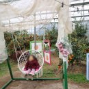 정우농장 이미지