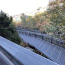 무장애숲 이미지