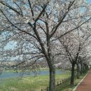 화랑유원지_경기도미술관주변 이미지