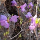 비사벌목욕탕 이미지