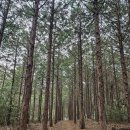 고인돌문명 Tour 이미지