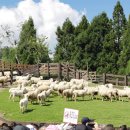 충효농장 이미지