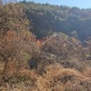 랜드고도람공인중개사사무소 이미지