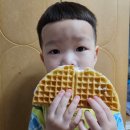 코끼리가반한핫도그&와플 이미지