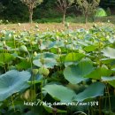 이레산장 이미지