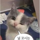 같이갈래? 이미지