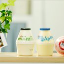 빙그레 PC 이미지