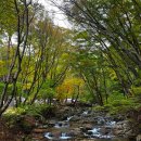 합천주유소 | [경남 합천] 가야산 삼정야영장 단풍 캠핑 명당 추천!(9번 사이트 후기)