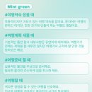 나의여행 이미지