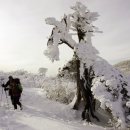 함백산빌 이미지