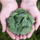 죽령감자탕 이미지