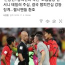 앤써니 테일러 epl심판 2부리그로 강등 징계 이미지