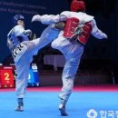 도원태권도체육관 이미지