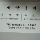 신안홍어 - 안양시 동안구 경수대로544번길 6 | 신안홍어