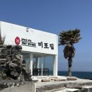 애월집 | 제주도 애월 바다뷰 신선한 해물장 맛집 '미포집 제주 애월점' 내돈내산 후기