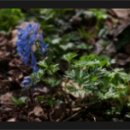 게스트하우스민박 이미지