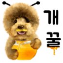 해뜨는 숲속 이미지