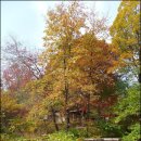 현대경복유치원 이미지