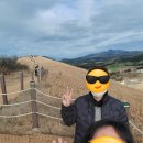 제주 새별 오름 들불축제 참여 후기