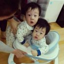 서준 Daum카페