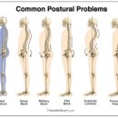 피티 명가 이미지