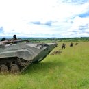 육군제9보병사단사령부 | 폴란드육군의 BWP-1 보병전투장갑차 (IFV)