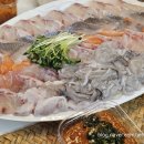 오케이도매횟집 | 구서동 회 포장! 구성 괜찮았던 오케이도매횟집 모듬회 대자 후기