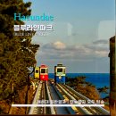 [Blue Line Park] 블루라인파크 - <미포 - 청사포> 부산 일반열차와 캡슐열차 내돈내산 탑승 / 당일...