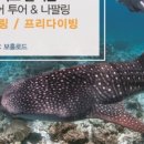 보홀로드