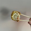 정직유부서면1호점 이미지