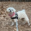 솔샘동물병원 이미지