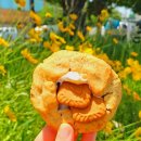 까맬쿠키 | [부산 수영] 광안리디저트, 쿠키 선물 맛집 광안동 신상맛집 :: 까맬쿠키