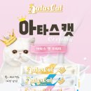 크리미 캣 네이버블로그