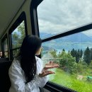 카펠로그 | 빈사의 사자상 / 렌터카로 리기산 가기 주차장 이용 후기 / 스위스 6월의 날씨와 옷차림 / 환전 꿀팁