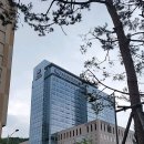 대학천사약국