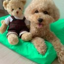 만수2구 이미지