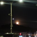 등대회관 | 속초 고궁회관 가오리조림 내돈내산 5년째 찾는 로컬 생선조림 찐맛집