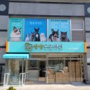 동일동물병원 이미지