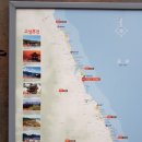 거진항